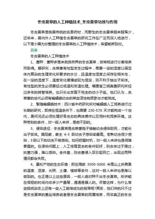 冬虫夏草的人工种植技术_冬虫夏草功效与作用