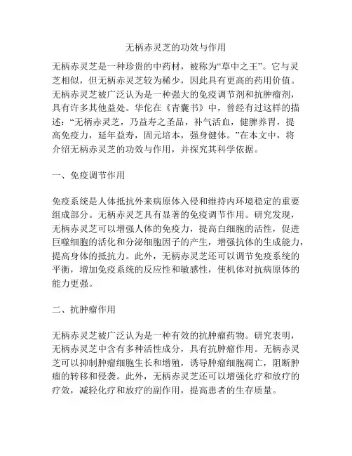无柄赤灵芝的功效与作用