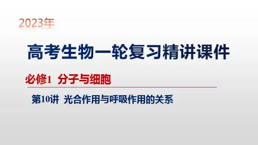 第10讲 光合作用与呼吸作用的关系-【2023大一轮】备战2023年高考生物一轮复习精讲课件