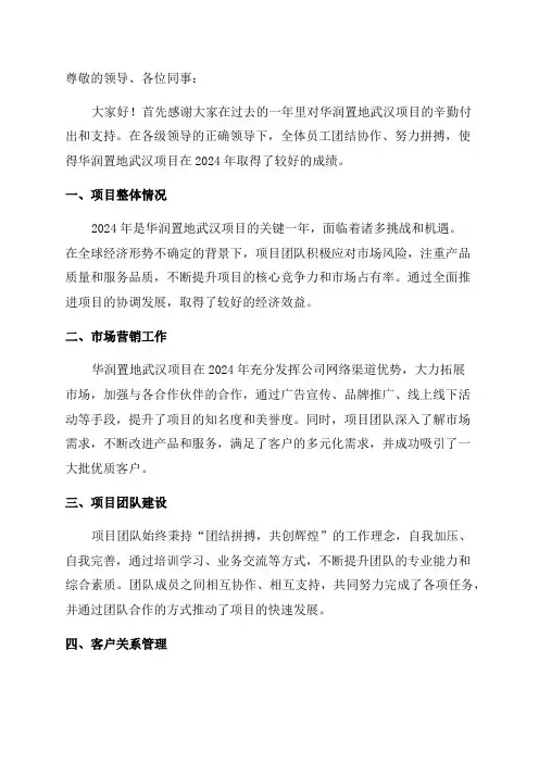 华润置地武汉项目年度总结