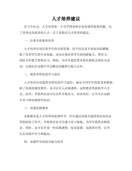 人才培养建议