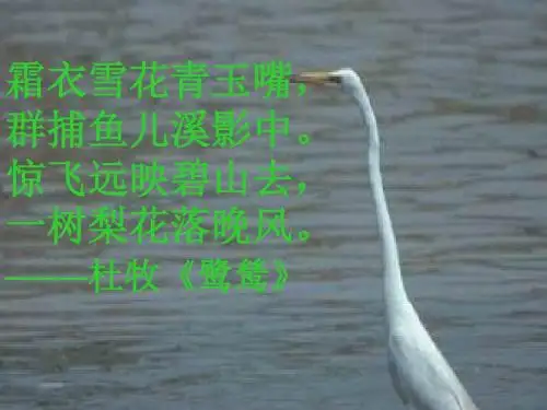 语文苏教版九年级上《散文家谈散文》4