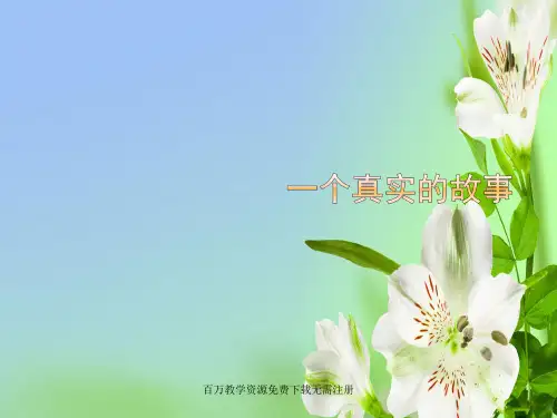 人教版音乐七年级下册一个真实的故事ppt课件2