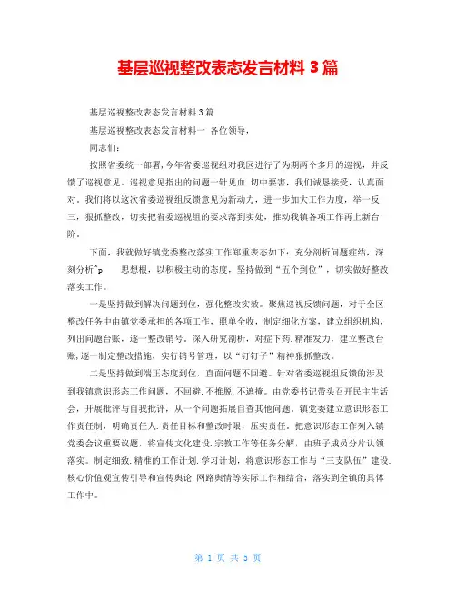 基层巡视整改表态发言材料3篇