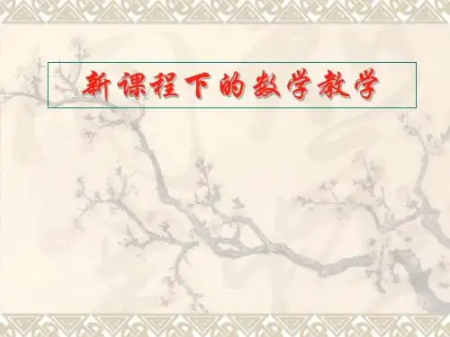 新课标下的数学教学