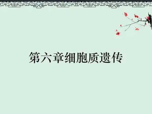 第六章细胞质遗传