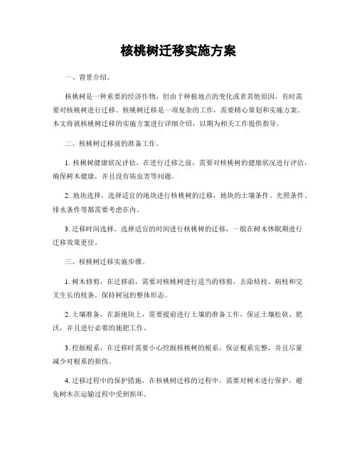 核桃树迁移实施方案
