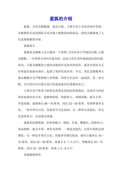 蓝狐的介绍