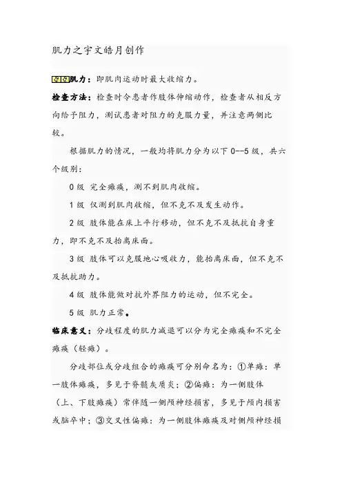 肌力的分级