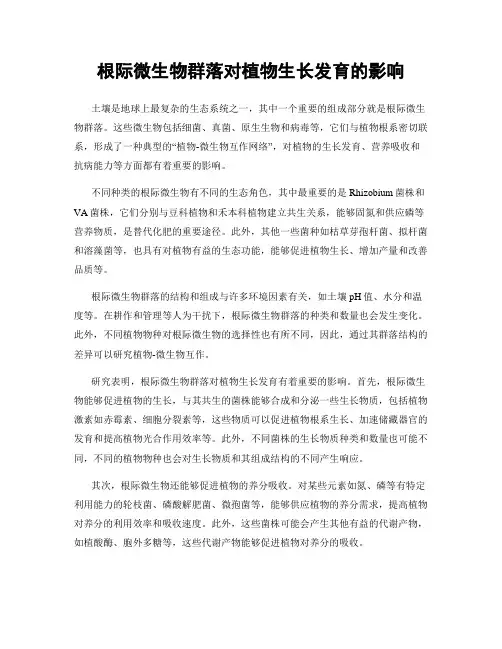 根际微生物群落对植物生长发育的影响