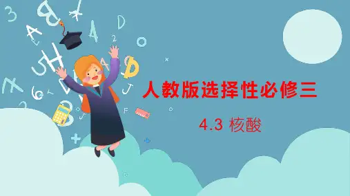 核酸-高二化学课件(人教版2019选择性必修3)