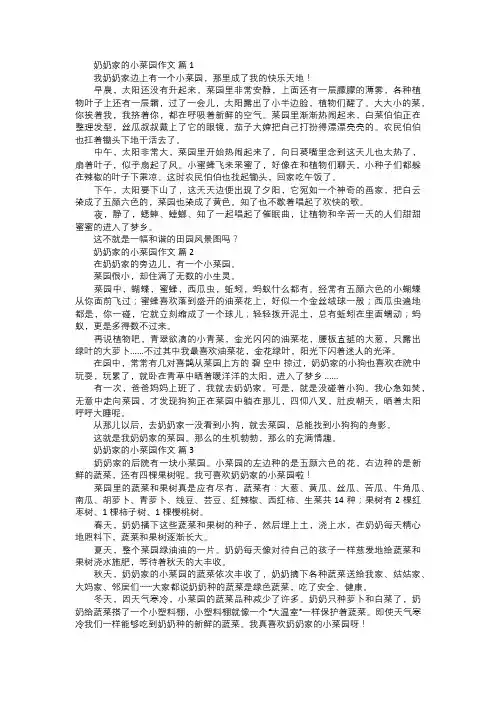 奶奶家的小菜园作文