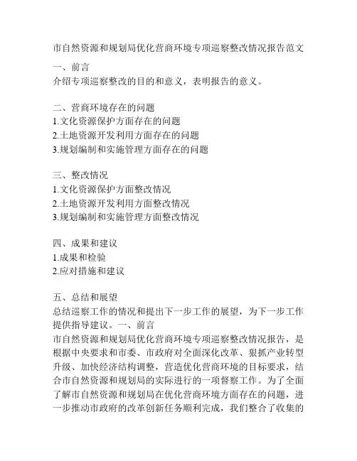 市自然资源和规划局优化营商环境专项巡察整改情况报告范文