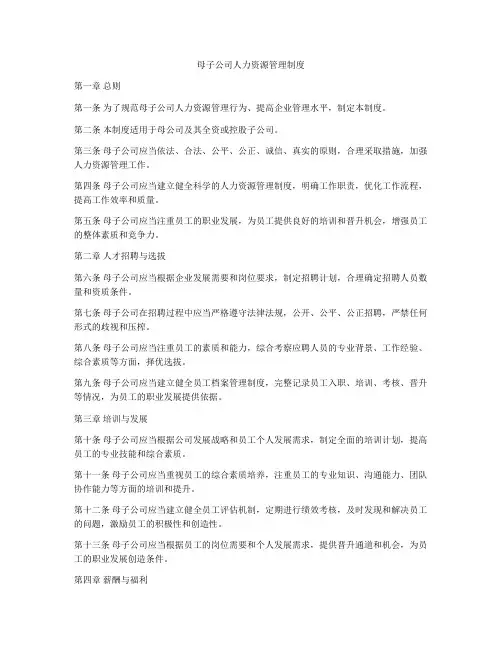 母子公司人力资源管理制度