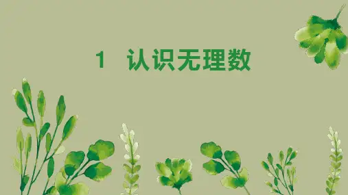 北师大版八年级数学上册《认识无理数》实数PPT优质课件