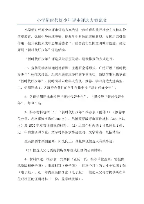 小学新时代好少年评审评选方案范文