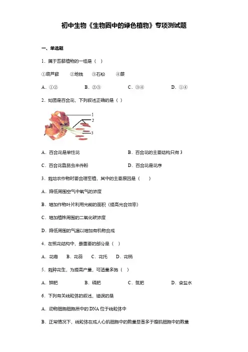 初中生物《生物圈中的绿色植物》专项测试题