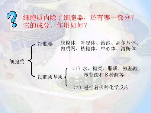 细胞器结构和功能介绍