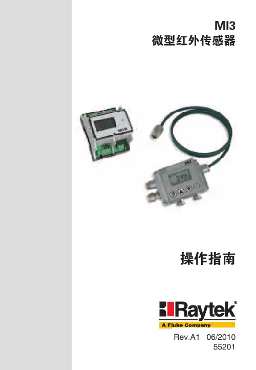 Raytek MI3操作手册