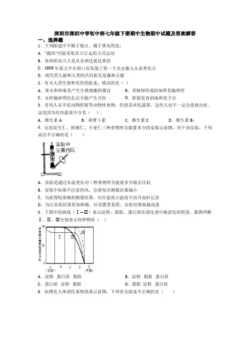 深圳市深圳中学初中部七年级下册期中生物期中试题及答案解答