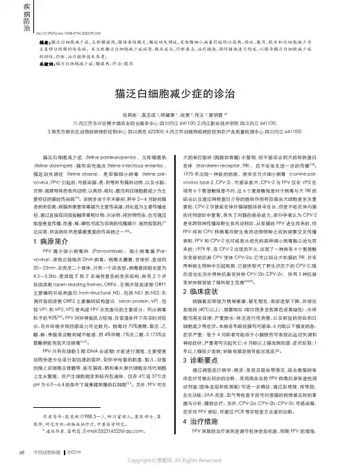 猫泛白细胞减少症的诊治