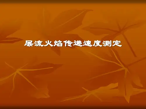 层流火焰传递速度测定