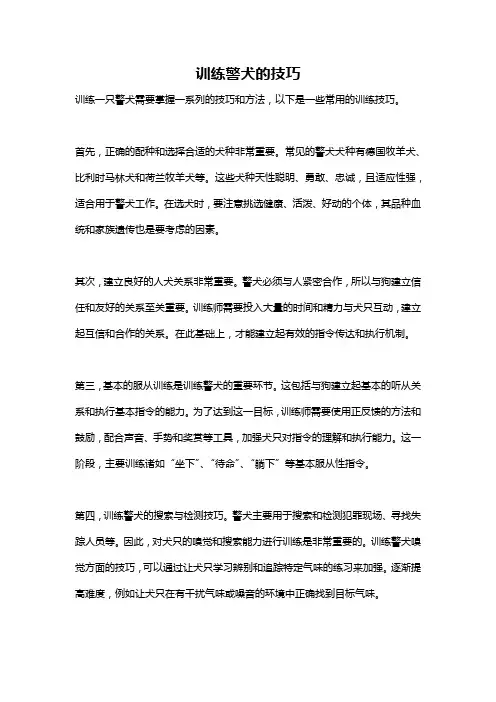 训练警犬的技巧