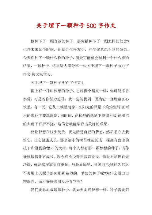 关于埋下一颗种子500字作文