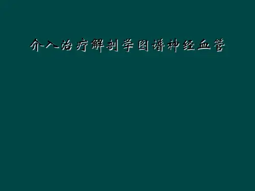 介入治疗解剖学图谱神经血管