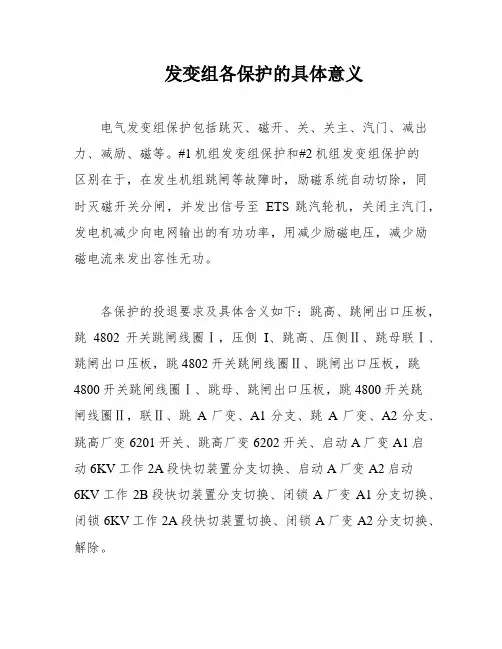 发变组各保护的具体意义