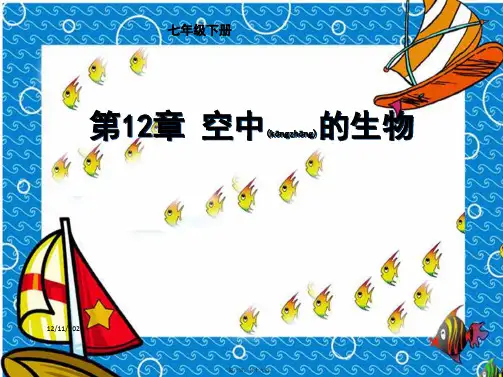 七年级生物下册《空中的生物》