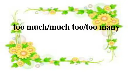 too much,much too,too many的用法 ppt课件