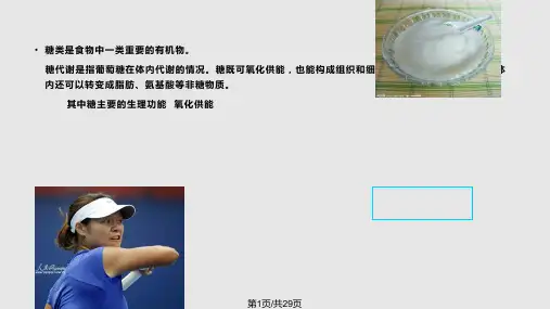 卫校正常人体学基础之糖代谢PPT课件