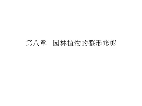 第八章   园林植物的整形修剪(10级)