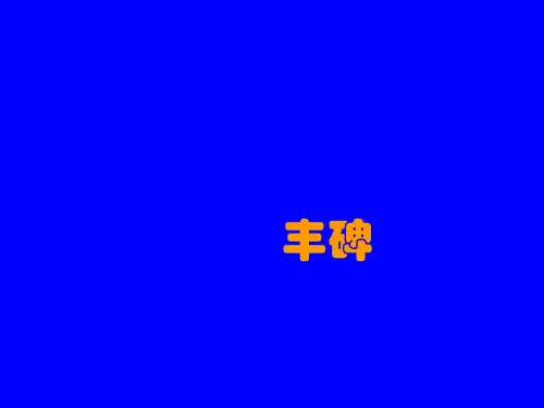 教科版语文四上《丰碑》课件(1)