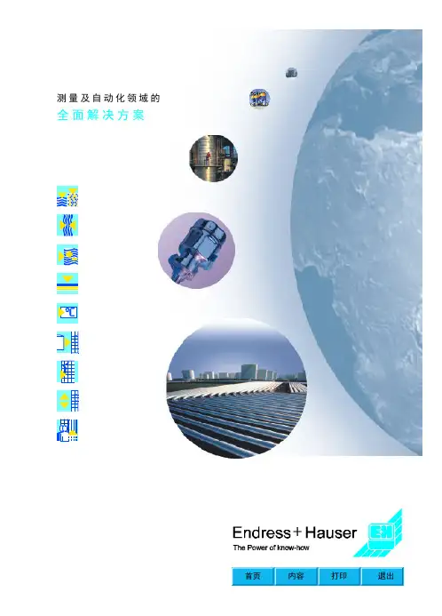 E+H公司介绍