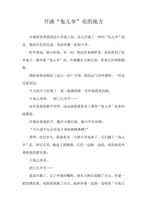 《一起长大的玩具》之开满“兔儿伞”花的地方