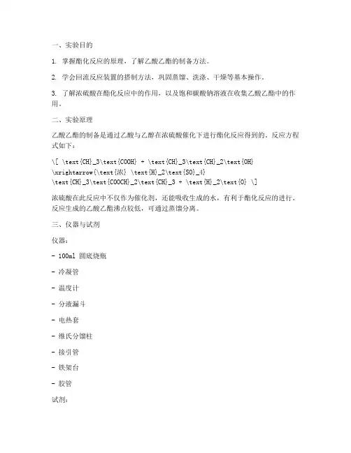 乙酸乙脂实验报告