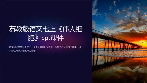 苏教版语文七上《伟人细胞》课件