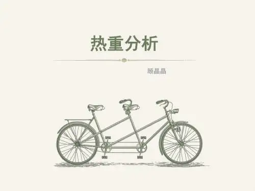 热重分析