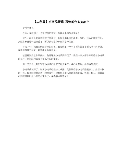 【二年级】小南瓜开花 写物的作文200字