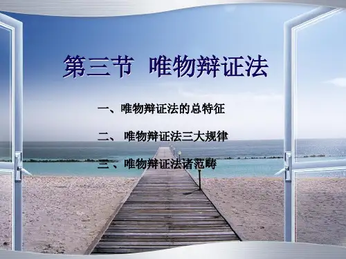 唯物辩证法