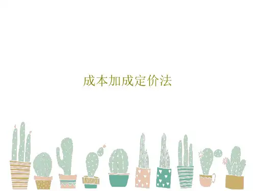 成本加成定价法15页PPT