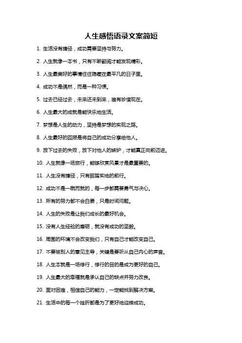 人生感悟语录文案简短