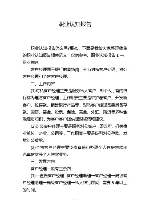 职业认知报告