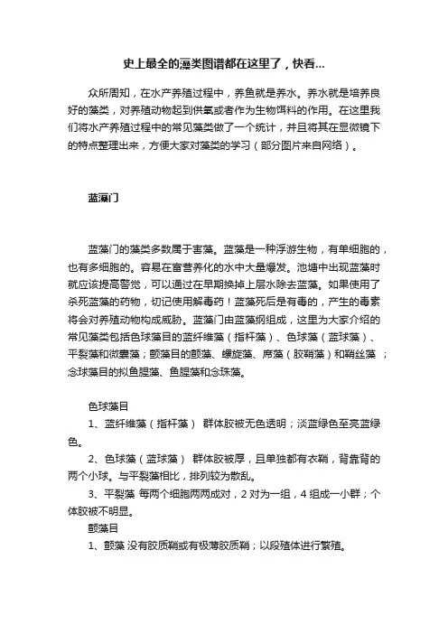 史上最全的藻类图谱都在这里了，快看...