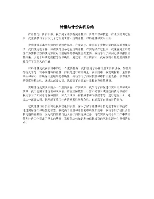 计量与计价实训总结