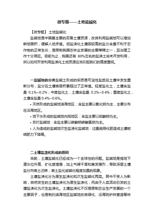 微专题——土地盐碱化