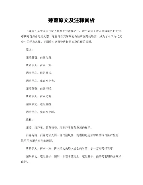 蒹葭原文及注释赏析