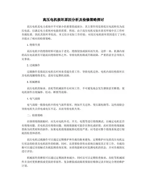 高压电机损坏原因分析及检修策略探讨